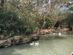 -兰亭风景区