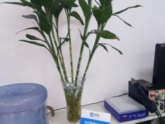 -特优手机电脑维修(中福城二期店)