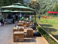 -趣多多宠物公园·宠物训犬学校·宠物寄养