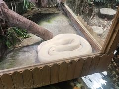 -上海大自然野生昆虫馆(东方明珠·爬宠昆虫探索中心)