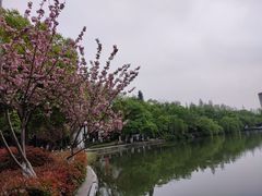 -浮庄