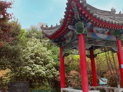 -莲湖公园
