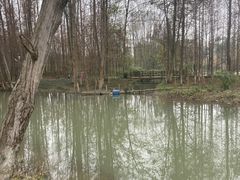 -桤木河湿地公园