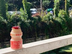 -Local泰莲庭(虹鳟鱼店)