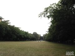 -中山大学学者灵芝(园南路店)