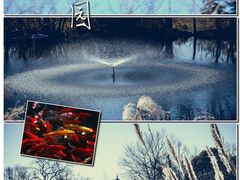 -西溪国家湿地公园