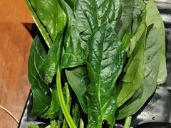 -呷哺呷哺 黄金牧场 (宝山正大乐城店)