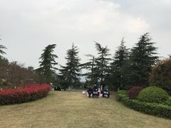 -铁山坪森林公园