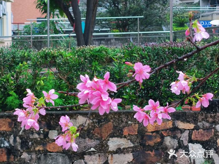 广东外语外贸大学(白云山校区)图片