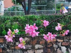-广东外语外贸大学(白云山校区)