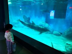 -福州罗源湾海洋世界旅游区