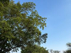 -西昌邛海宾馆
