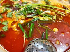 -黔府豆米火锅野菜馆(南马店)