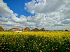 -中国天府农业博览园