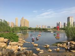 -曹州牡丹园