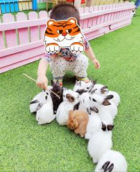 -萌宠亲子动物乐园(槐房万达店)