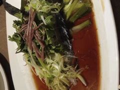 -金燕岛潮州酒楼