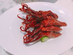 -喜鼎海胆水饺(柏威年购物中心店)