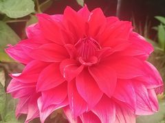 -北京植物园南门售票处