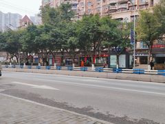 -刘胖娃鱼庄·特色肥肠鱼(杨家坪店)