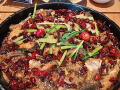 -老板恋上鱼(恒隆广场店)