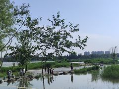 -绿堤公园