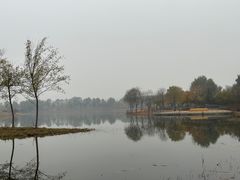 -东郊湿地公园