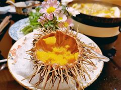空运活海胆-天狗山料理(省体店)