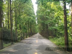 -滨海高尔夫俱乐部