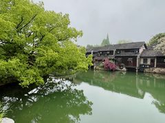 -乌镇西栅景区