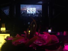 -288 Livehouse 酒吧(思南公馆店)