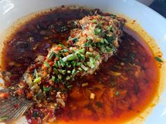 泡菜罗非鱼-巴壁馆(海棠花语店)