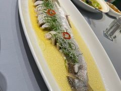 清蒸白鱼-阳光海鲜城(太仓万达店)