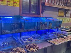 -老家黄墩小错鸡·活海鲜