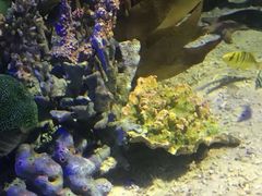 -太平洋海底世界