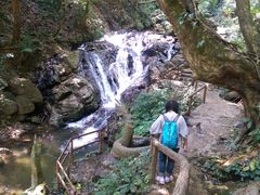-莫里热带雨林景区