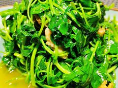 蚌肉金花菜-欣旺·迎宾楼·百年无锡菜