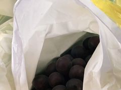 -马陆小张葡萄园农家乐