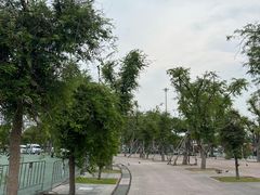 -皇家田广场(อนุสาวรีย์ทหารอาสา)