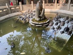 -西安大兴善寺