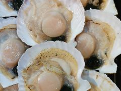 -开海·红岛海鲜虾水饺(石老人店)