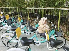 -苏州环秀晓筑养生度假村
