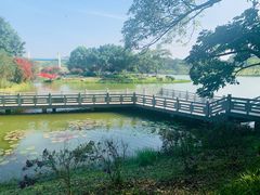 -东莞植物园