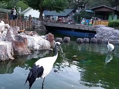 -大连老虎滩海洋公园