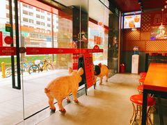 -猪角·闽南猪脚饭(文三路店)
