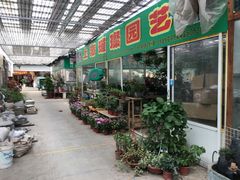 -龙大花卉苗木市场
