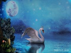 -新世界大丸百货