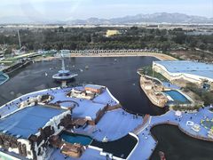 -秦皇岛乐岛海洋王国