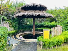 -大连金石滩绿发温泉假日酒店