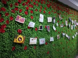 -母仪天下月子中心(光谷店)